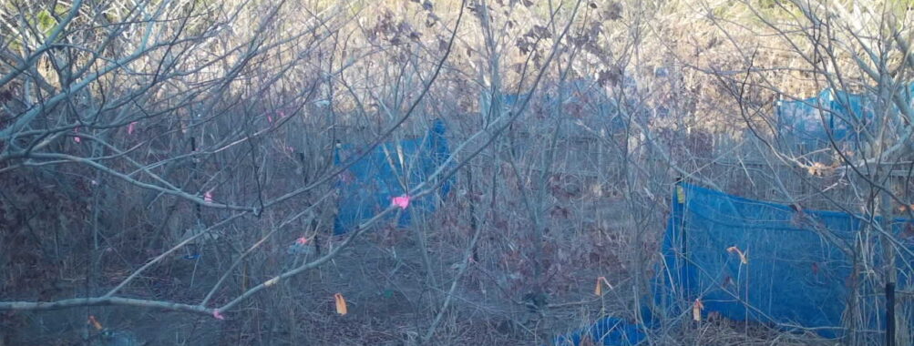 Feb 28 2026 16:13:48, #01