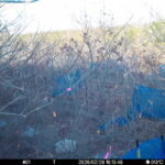 Feb 28 2026 16:13:48, #01