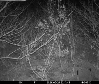 Feb 28 2026 22:13:48, #01