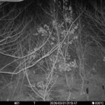 Mar 1 2026  1:13:46, #01