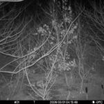 Mar 1 2026  4:13:48, #01