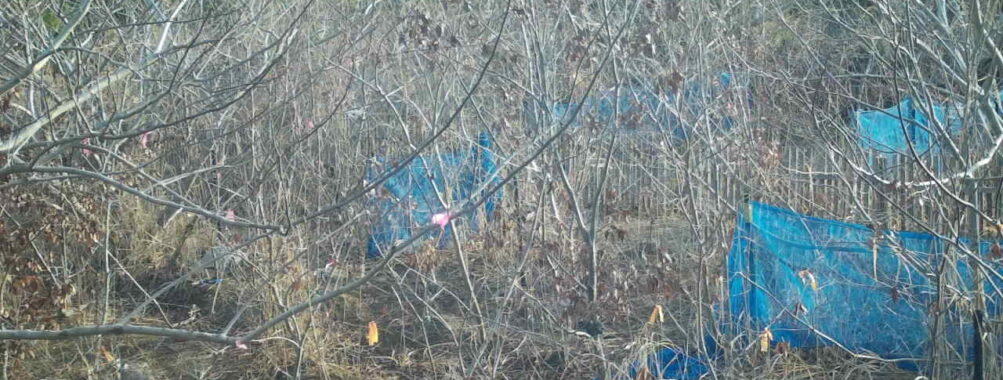 Mar 1 2026  7:13:48, #01