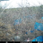 Mar 1 2026  7:13:48, #01