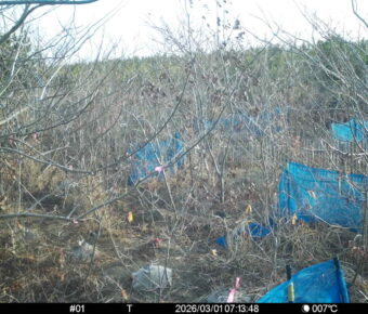 Mar 1 2026  7:13:48, #01