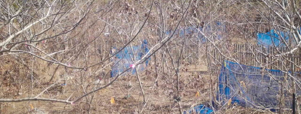 Mar 1 2026 10:13:48, #01