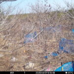 Mar 1 2026 10:13:48, #01