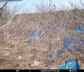 Mar 1 2026 10:13:48, #01