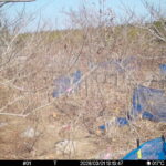 Mar 1 2026 13:13:47, #01