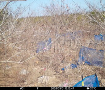 Mar 1 2026 13:13:47, #01