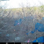 Mar 1 2026 16:13:48, #01