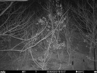 Mar 1 2026 19:13:47, #01