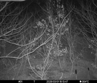 Mar 1 2026 19:13:47, #01