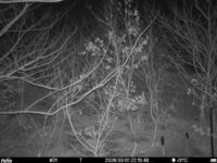 Mar 1 2026 22:13:48, #01