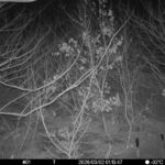 Mar 2 2026  1:13:47, #01