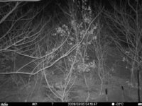 Mar 2 2026  4:13:47, #01