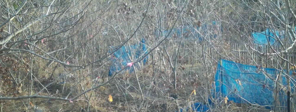 Mar 2 2026  7:13:48, #01