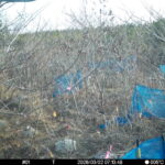 Mar 2 2026  7:13:48, #01