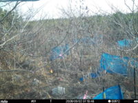 Mar 2 2026  7:13:48, #01