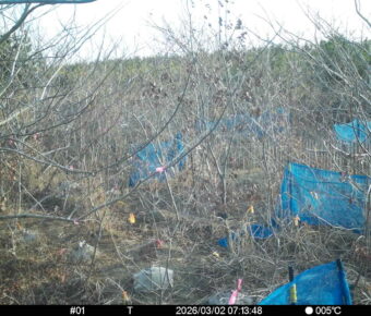 Mar 2 2026  7:13:48, #01