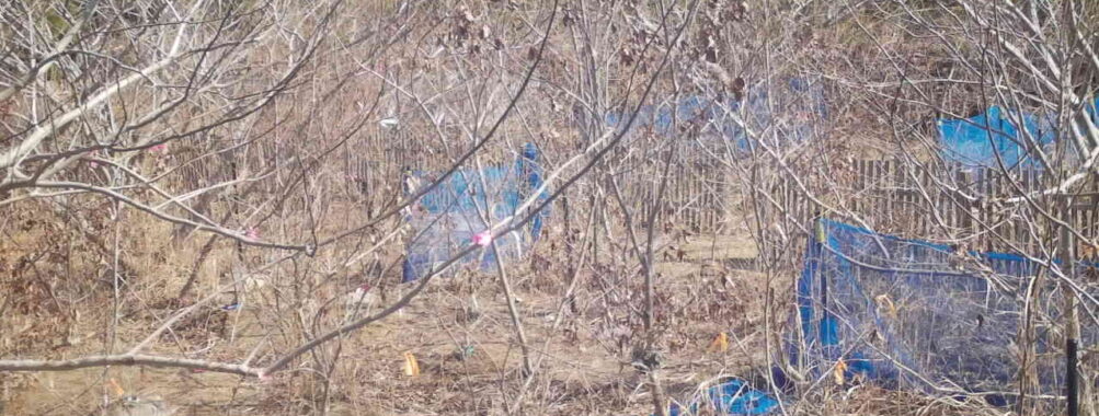 Mar 2 2026 10:13:47, #01