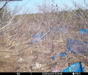 Mar 2 2026 10:13:47, #01