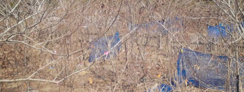 Mar 2 2026 13:13:48, #01