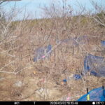 Mar 2 2026 13:13:48, #01