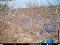 Mar 2 2026 13:13:48, #01