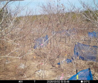 Mar 2 2026 13:13:48, #01