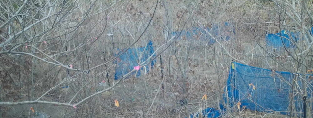 Mar 2 2026 16:13:48, #01