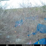 Mar 2 2026 16:13:48, #01