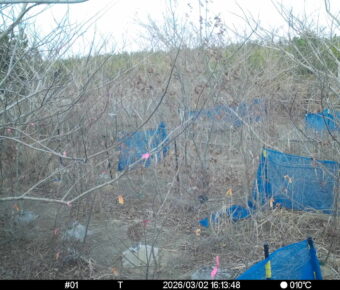 Mar 2 2026 16:13:48, #01