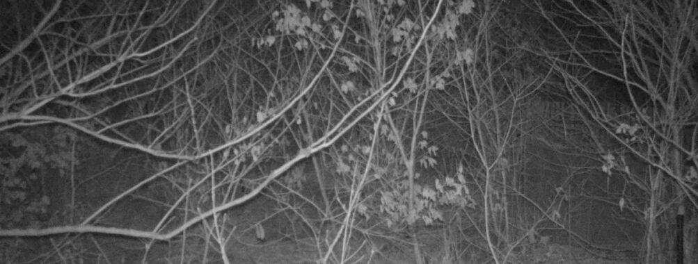 Mar 2 2026 19:13:47, #01