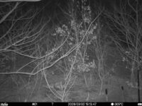 Mar 2 2026 19:13:47, #01