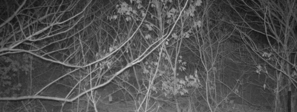 Mar 2 2026 22:13:48, #01