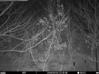 Mar 2 2026 22:13:48, #01