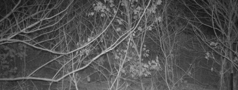 Mar 3 2026  1:13:47, #01