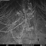 Mar 3 2026  1:13:47, #01