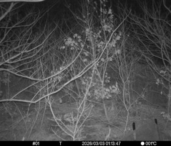 Mar 3 2026  1:13:47, #01