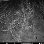 Mar 3 2026  4:13:47, #01