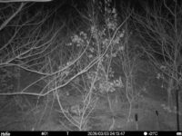 Mar 3 2026  4:13:47, #01