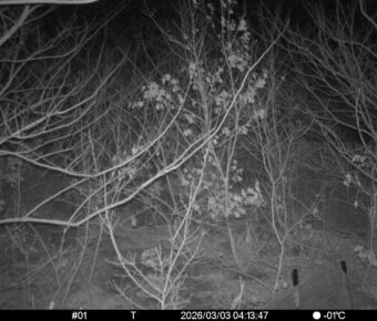 Mar 3 2026  4:13:47, #01