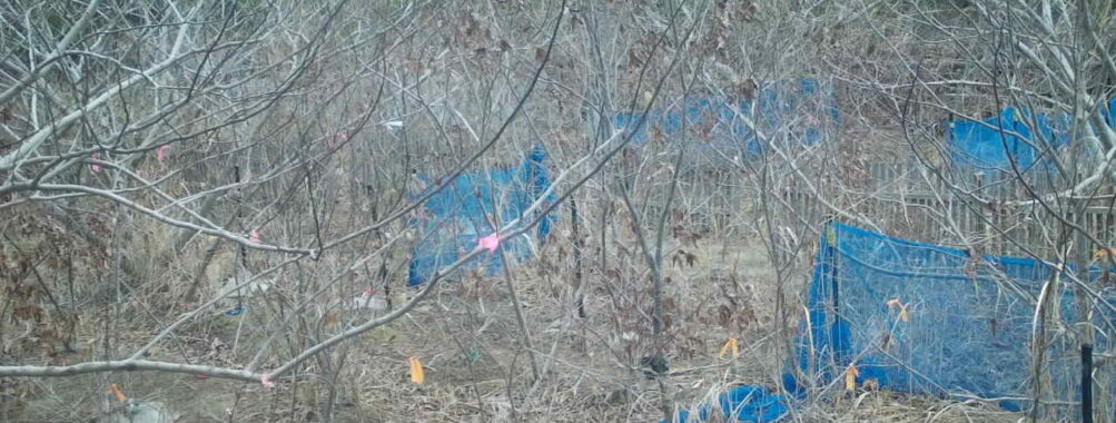 Mar 3 2026  7:13:48, #01