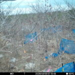 Mar 3 2026  7:13:48, #01