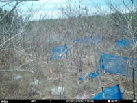 Mar 3 2026  7:13:48, #01