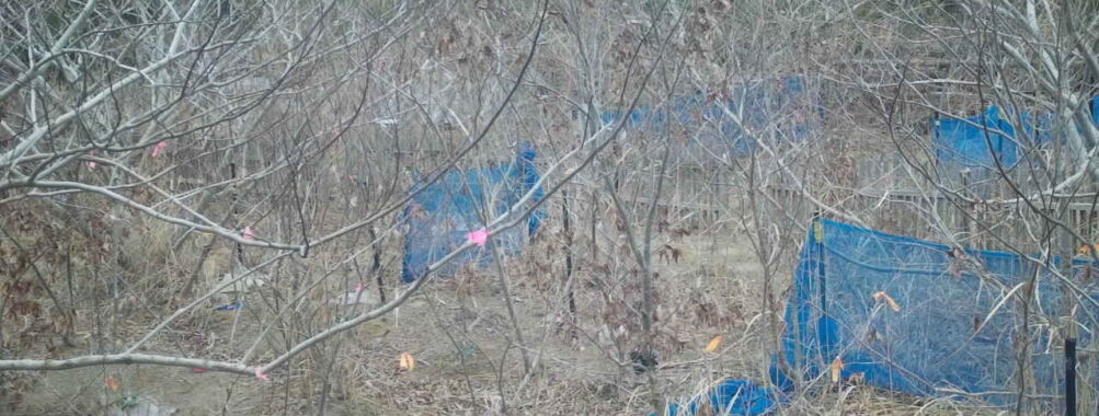 Mar 3 2026 10:13:48, #01