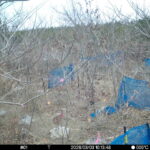 Mar 3 2026 10:13:48, #01