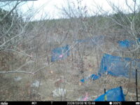 Mar 3 2026 10:13:48, #01