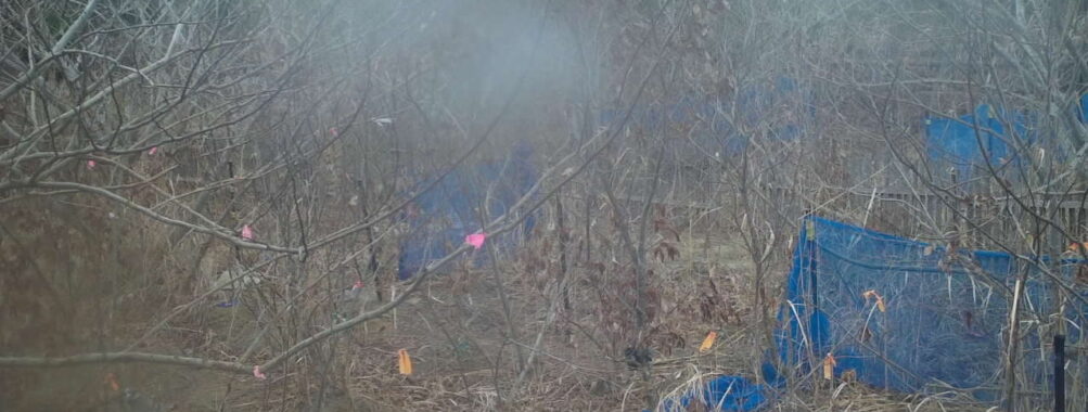 Mar 3 2026 13:13:47, #01