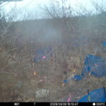 Mar 3 2026 13:13:47, #01